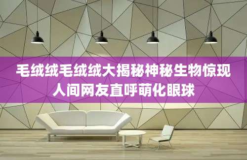 毛绒绒毛绒绒大揭秘神秘生物惊现人间网友直呼萌化眼球