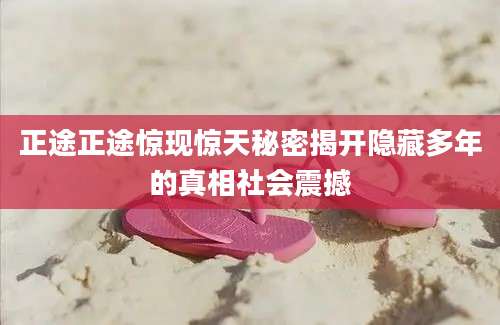 正途正途惊现惊天秘密揭开隐藏多年的真相社会震撼