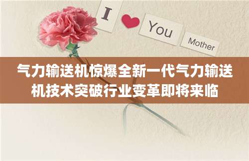 气力输送机惊爆全新一代气力输送机技术突破行业变革即将来临