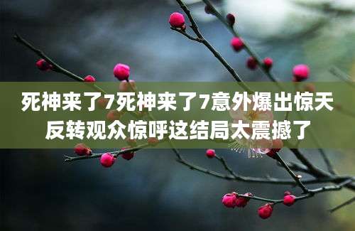 死神来了7死神来了7意外爆出惊天反转观众惊呼这结局太震撼了