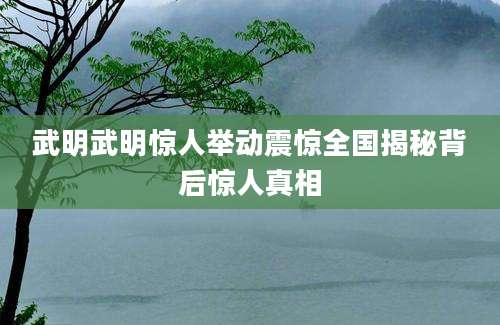 武明武明惊人举动震惊全国揭秘背后惊人真相