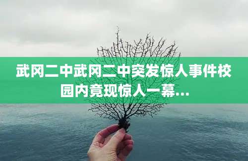 武冈二中武冈二中突发惊人事件校园内竟现惊人一幕...