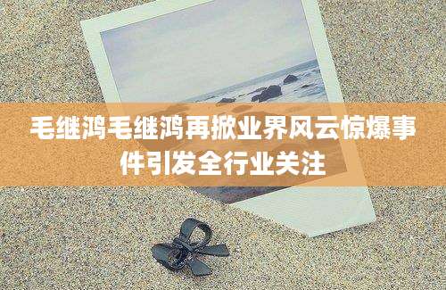 毛继鸿毛继鸿再掀业界风云惊爆事件引发全行业关注