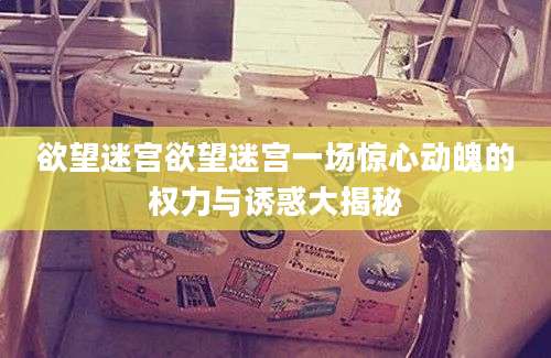 欲望迷宫欲望迷宫一场惊心动魄的权力与诱惑大揭秘