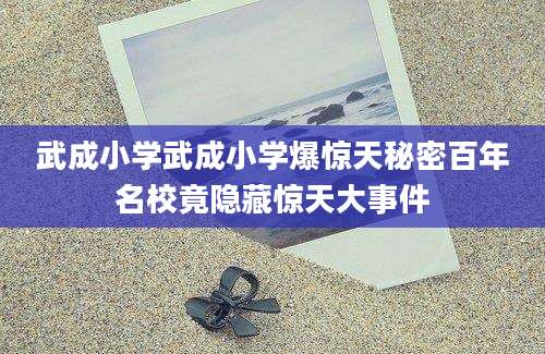 武成小学武成小学爆惊天秘密百年名校竟隐藏惊天大事件