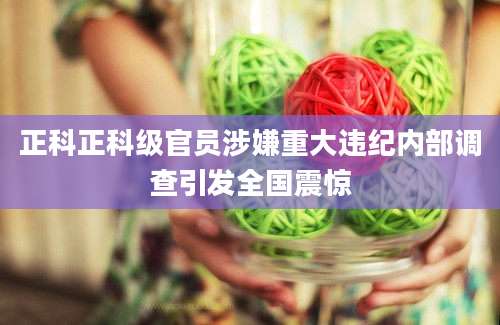 正科正科级官员涉嫌重大违纪内部调查引发全国震惊