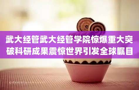 武大经管武大经管学院惊爆重大突破科研成果震惊世界引发全球瞩目