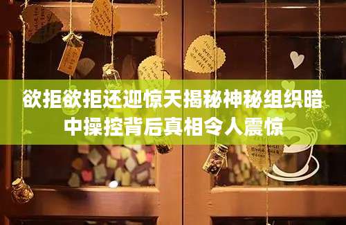欲拒欲拒还迎惊天揭秘神秘组织暗中操控背后真相令人震惊