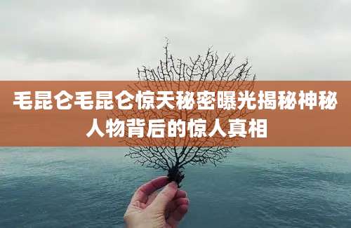 毛昆仑毛昆仑惊天秘密曝光揭秘神秘人物背后的惊人真相