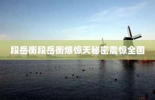 段岳衡段岳衡爆惊天秘密震惊全国