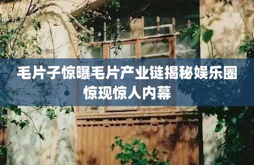 毛片子惊曝毛片产业链揭秘娱乐圈惊现惊人内幕