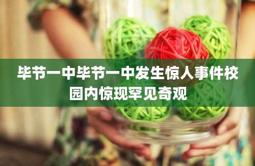 毕节一中毕节一中发生惊人事件校园内惊现罕见奇观