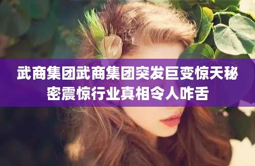 武商集团武商集团突发巨变惊天秘密震惊行业真相令人咋舌