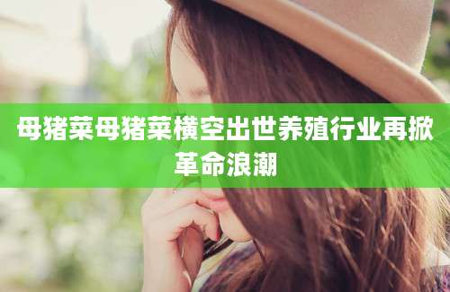 母猪菜母猪菜横空出世养殖行业再掀革命浪潮