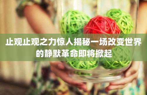 止观止观之力惊人揭秘一场改变世界的静默革命即将掀起