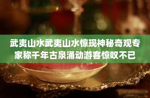 武夷山水武夷山水惊现神秘奇观专家称千年古泉涌动游客惊叹不已