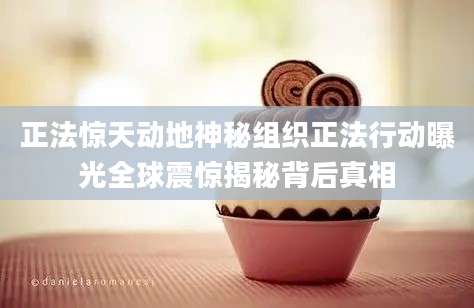 正法惊天动地神秘组织正法行动曝光全球震惊揭秘背后真相