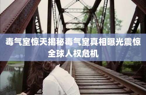 毒气室惊天揭秘毒气室真相曝光震惊全球人权危机
