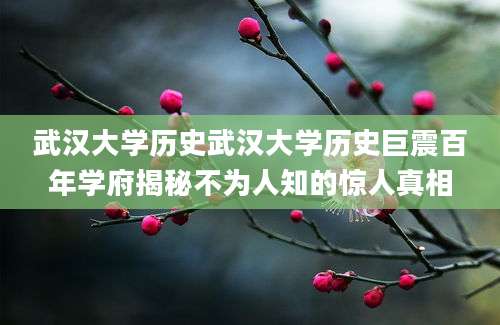 武汉大学历史武汉大学历史巨震百年学府揭秘不为人知的惊人真相