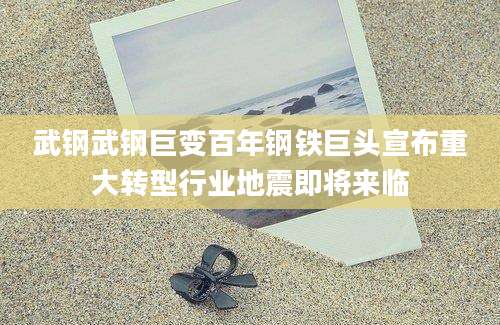 武钢武钢巨变百年钢铁巨头宣布重大转型行业地震即将来临