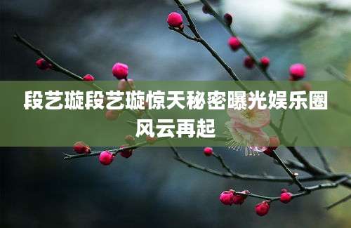 段艺璇段艺璇惊天秘密曝光娱乐圈风云再起