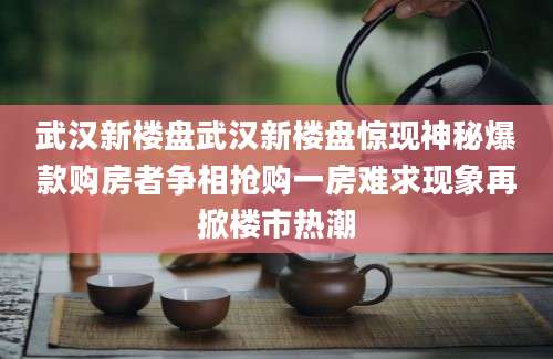 武汉新楼盘武汉新楼盘惊现神秘爆款购房者争相抢购一房难求现象再掀楼市热潮