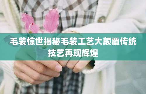 毛装惊世揭秘毛装工艺大颠覆传统技艺再现辉煌
