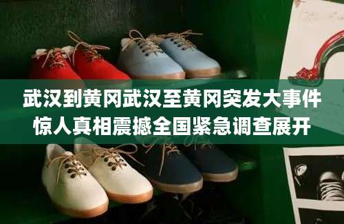 武汉到黄冈武汉至黄冈突发大事件惊人真相震撼全国紧急调查展开