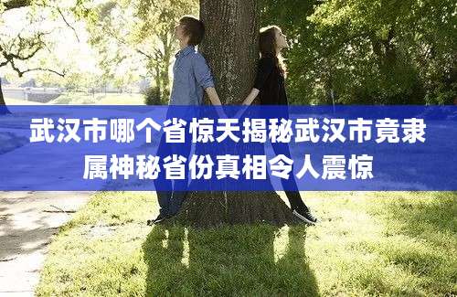武汉市哪个省惊天揭秘武汉市竟隶属神秘省份真相令人震惊