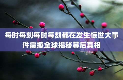 每时每刻每时每刻都在发生惊世大事件震撼全球揭秘幕后真相
