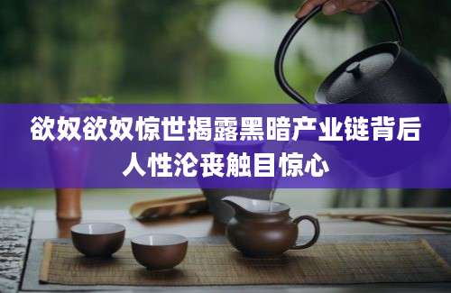 欲奴欲奴惊世揭露黑暗产业链背后人性沦丧触目惊心