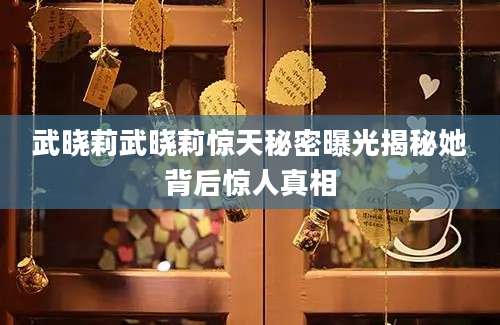 武晓莉武晓莉惊天秘密曝光揭秘她背后惊人真相