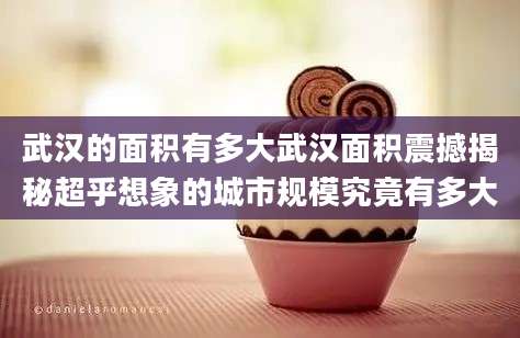 武汉的面积有多大武汉面积震撼揭秘超乎想象的城市规模究竟有多大