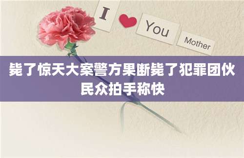 毙了惊天大案警方果断毙了犯罪团伙民众拍手称快