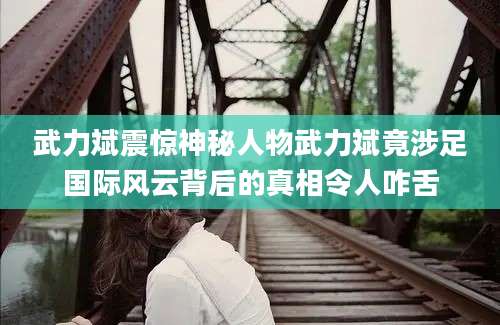 武力斌震惊神秘人物武力斌竟涉足国际风云背后的真相令人咋舌