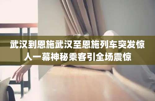 武汉到恩施武汉至恩施列车突发惊人一幕神秘乘客引全场震惊