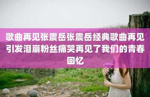 歌曲再见张震岳张震岳经典歌曲再见引发泪崩粉丝痛哭再见了我们的青春回忆