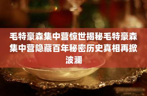 毛特豪森集中营惊世揭秘毛特豪森集中营隐藏百年秘密历史真相再掀波澜