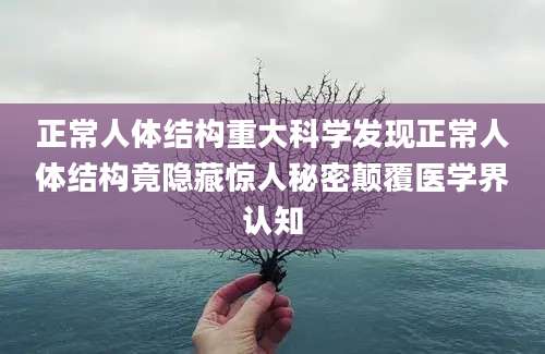 正常人体结构重大科学发现正常人体结构竟隐藏惊人秘密颠覆医学界认知