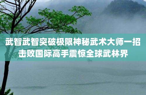 武智武智突破极限神秘武术大师一招击败国际高手震惊全球武林界