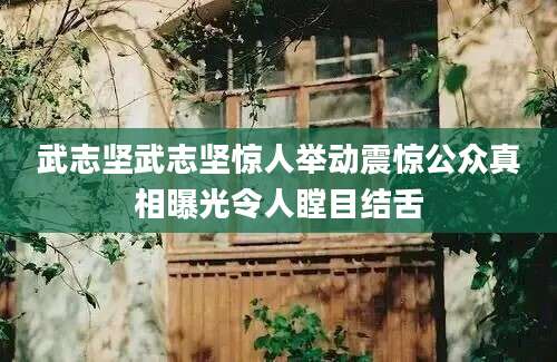 武志坚武志坚惊人举动震惊公众真相曝光令人瞠目结舌