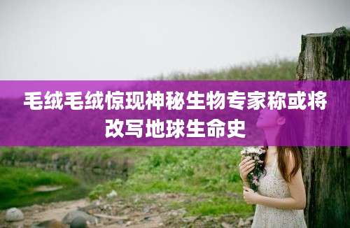 毛绒毛绒惊现神秘生物专家称或将改写地球生命史