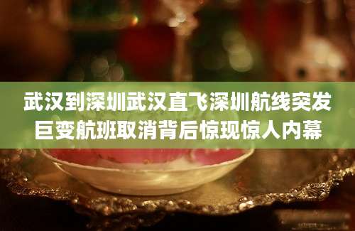 武汉到深圳武汉直飞深圳航线突发巨变航班取消背后惊现惊人内幕
