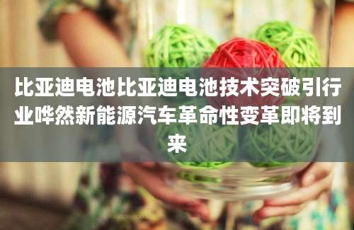 比亚迪电池比亚迪电池技术突破引行业哗然新能源汽车革命性变革即将到来