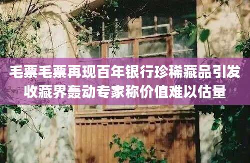 毛票毛票再现百年银行珍稀藏品引发收藏界轰动专家称价值难以估量