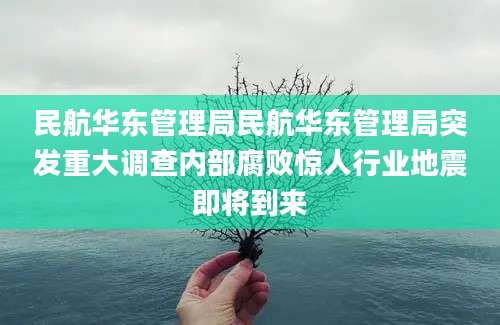 民航华东管理局民航华东管理局突发重大调查内部腐败惊人行业地震即将到来