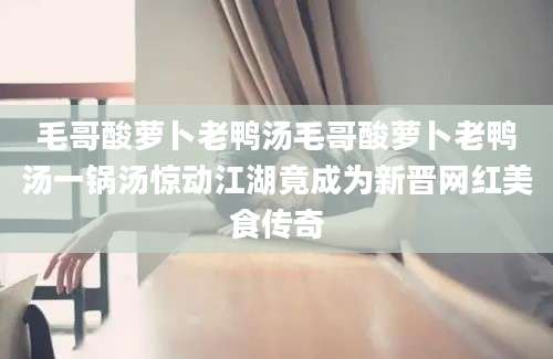 毛哥酸萝卜老鸭汤毛哥酸萝卜老鸭汤一锅汤惊动江湖竟成为新晋网红美食传奇