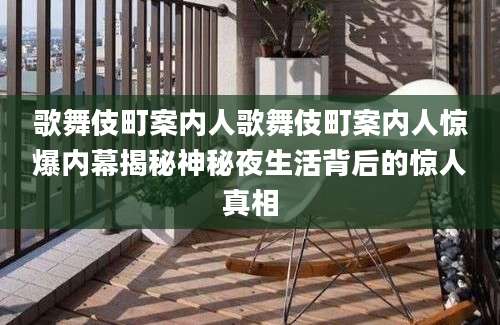 歌舞伎町案内人歌舞伎町案内人惊爆内幕揭秘神秘夜生活背后的惊人真相