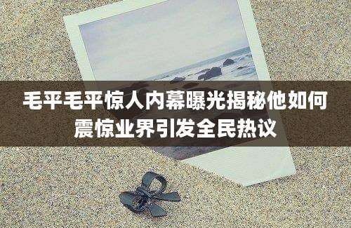 毛平毛平惊人内幕曝光揭秘他如何震惊业界引发全民热议