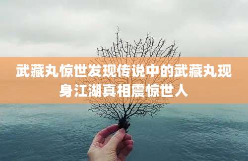 武藏丸惊世发现传说中的武藏丸现身江湖真相震惊世人